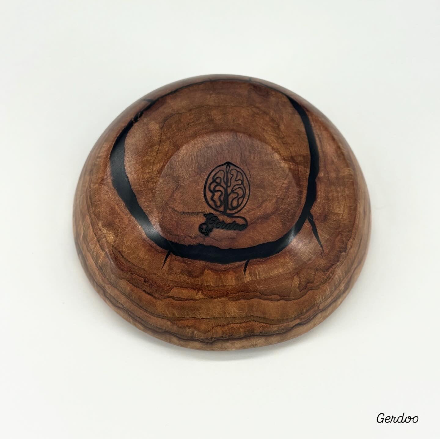 Shelf Mushroom