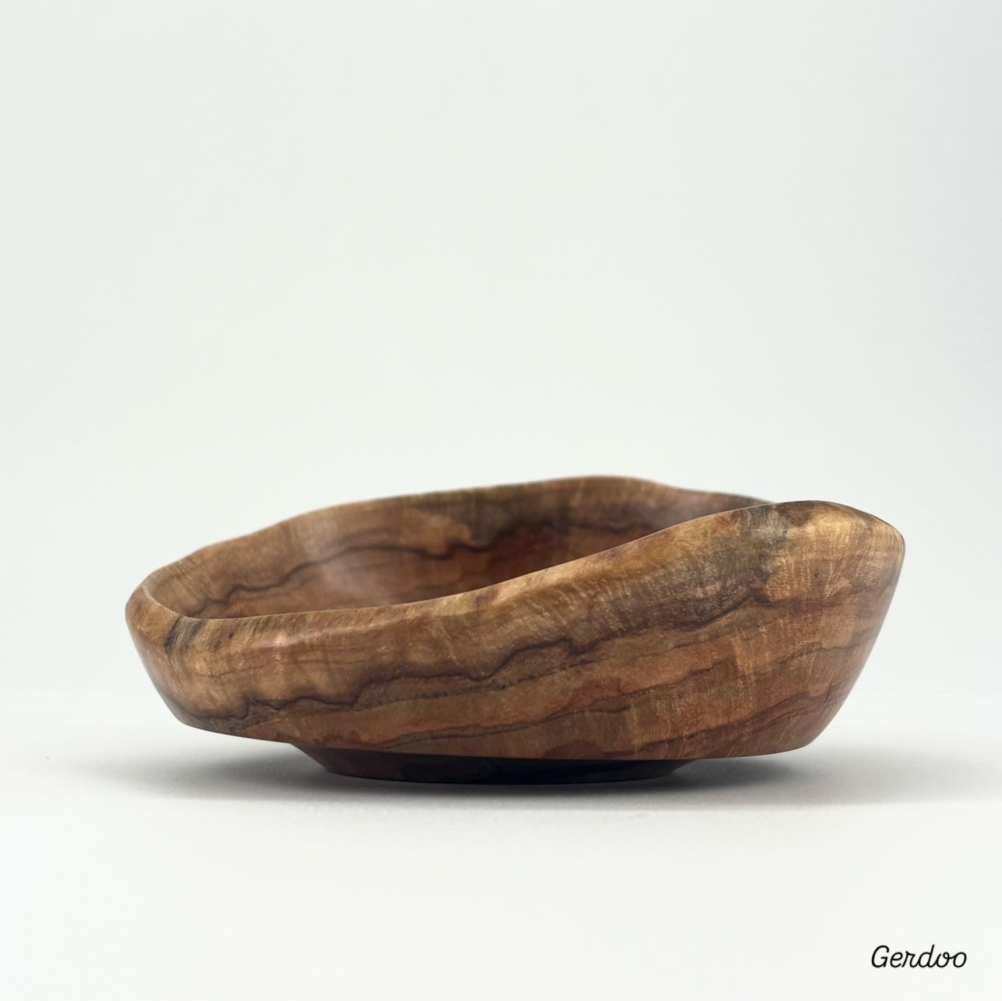 Shelf Mushroom
