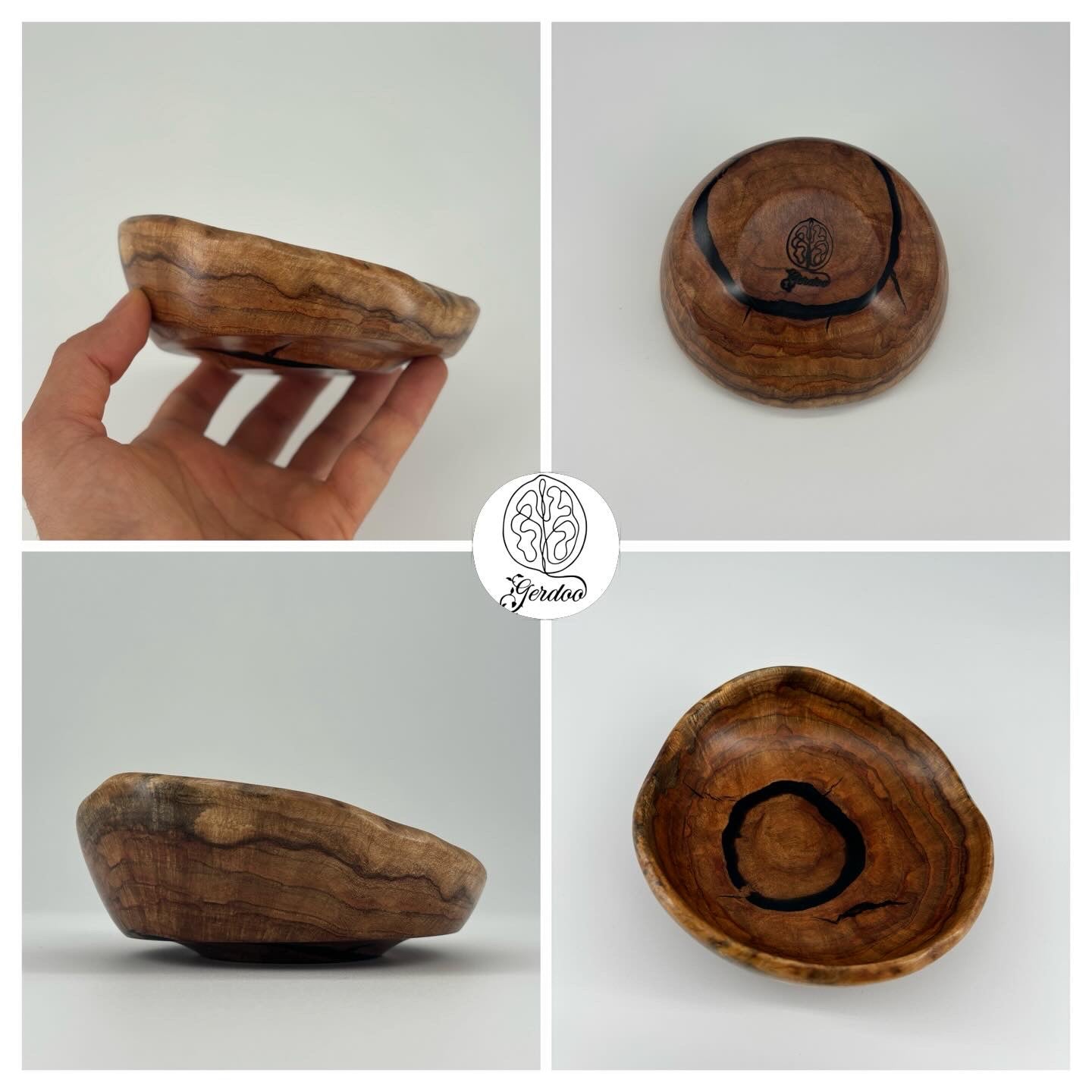 Shelf Mushroom