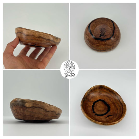 Shelf Mushroom