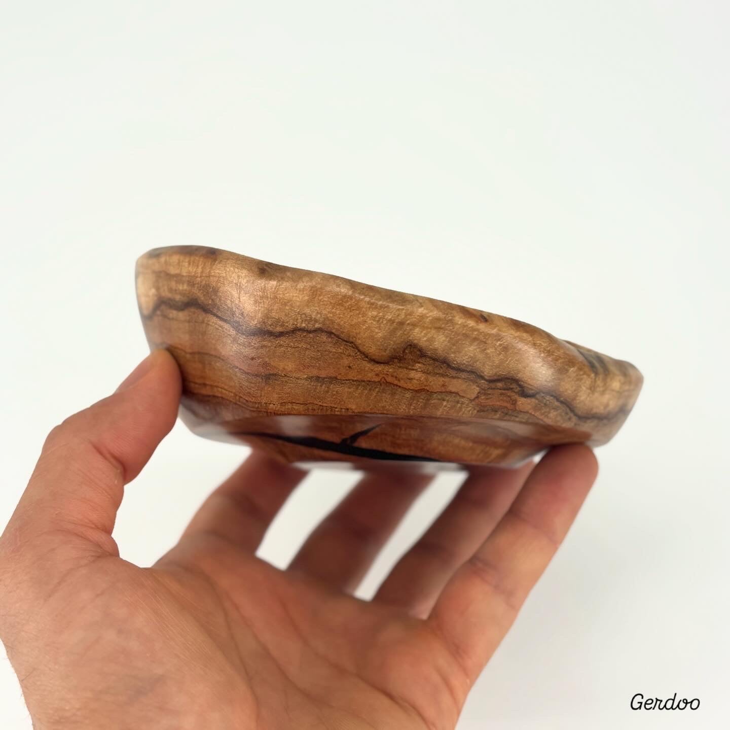 Shelf Mushroom