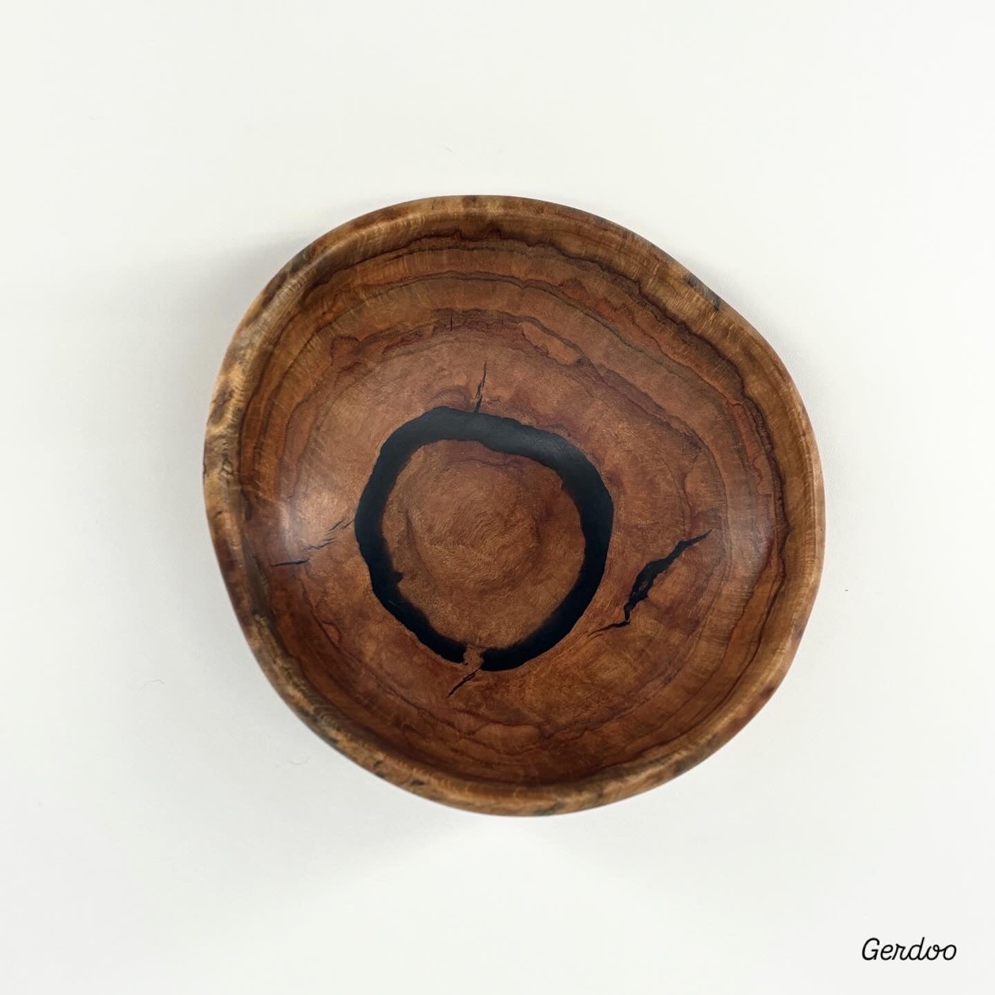 Shelf Mushroom