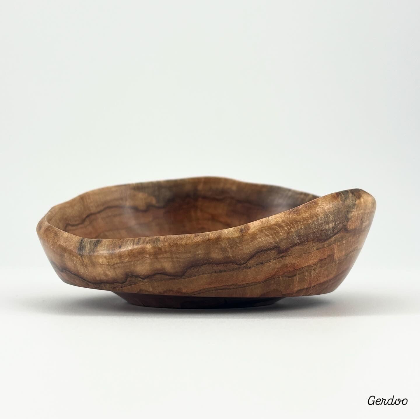 Shelf Mushroom