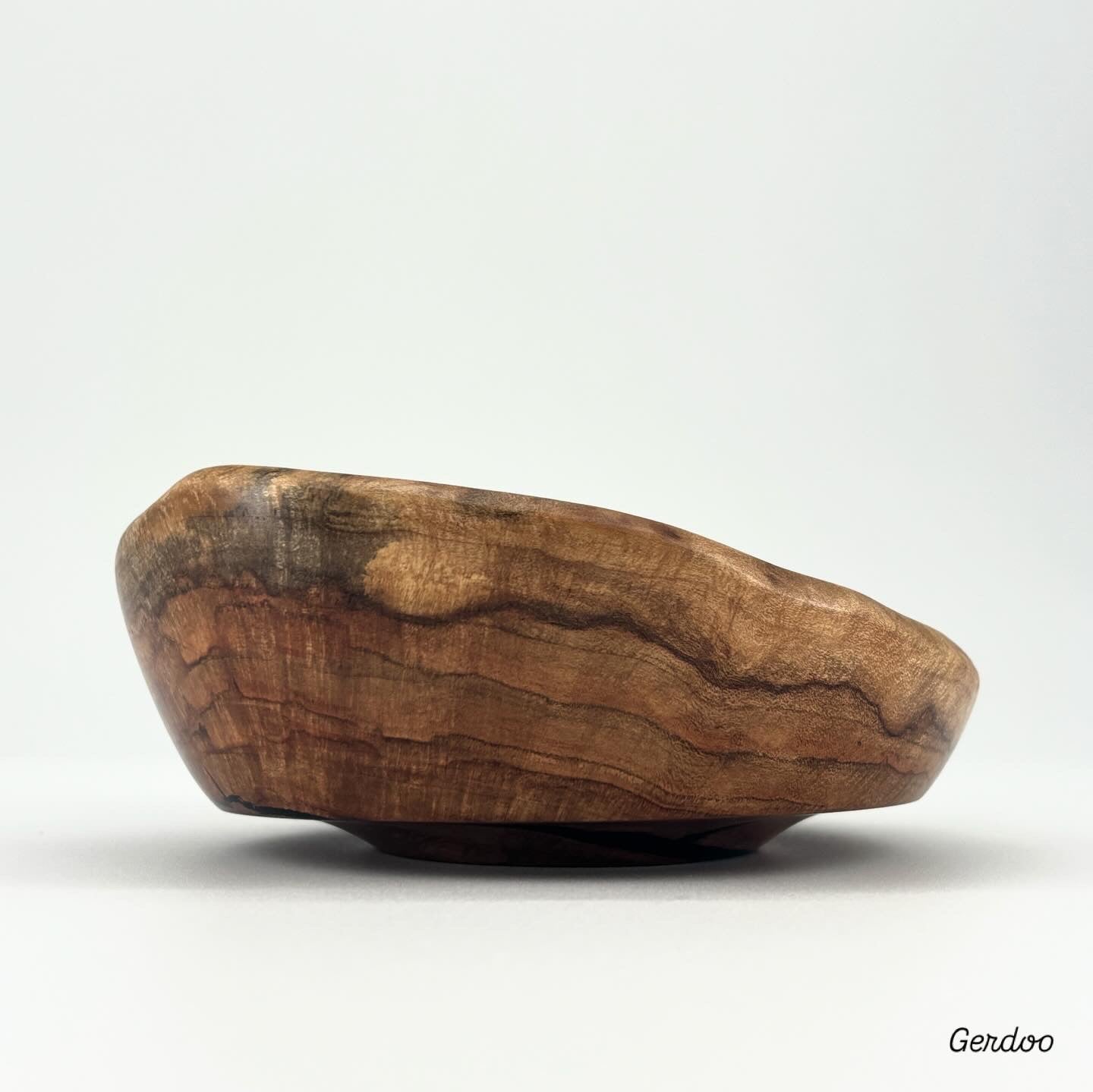 Shelf Mushroom